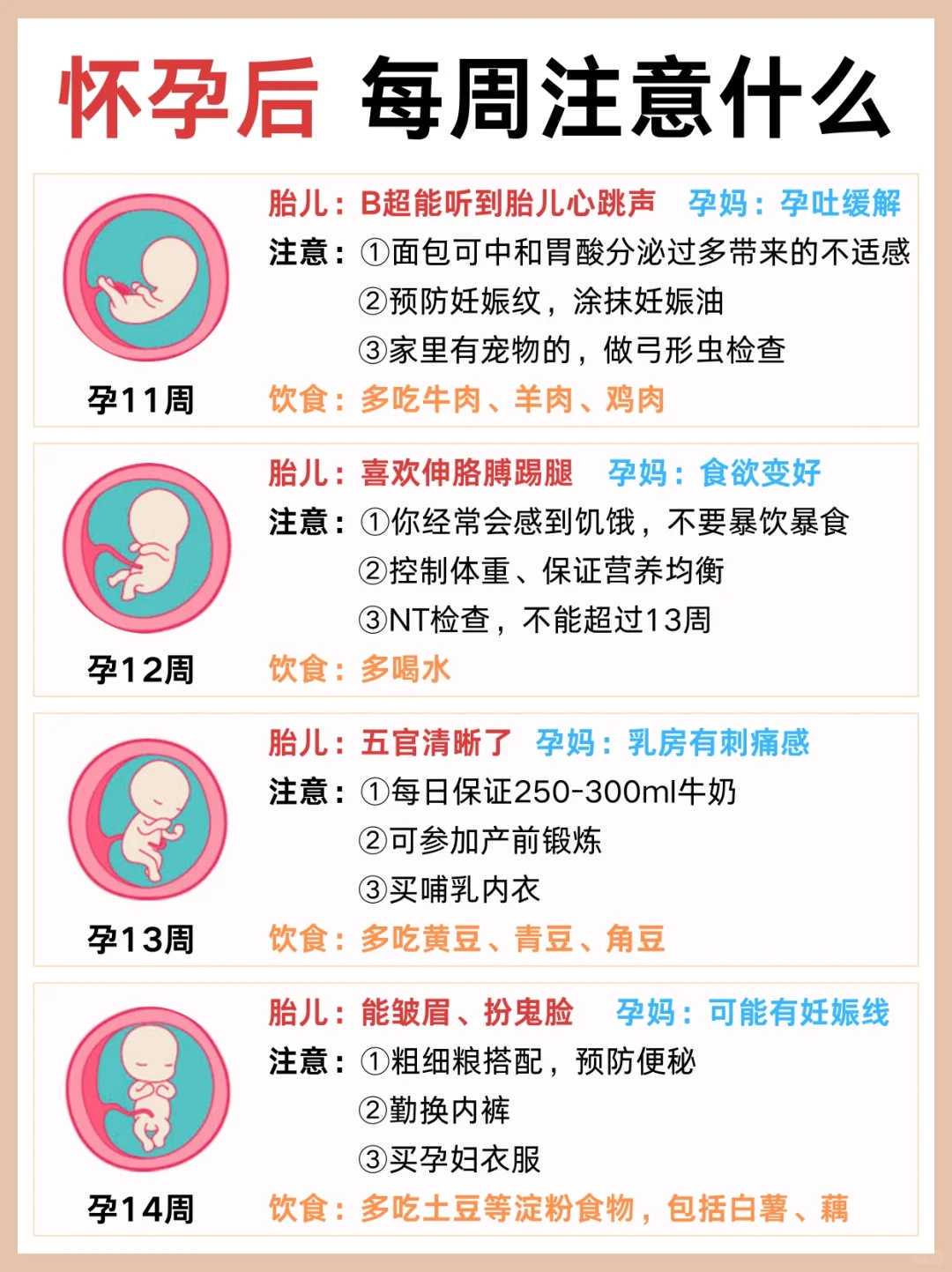 辅助生殖试管婴儿